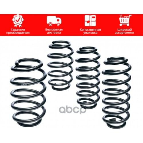Eibach Springs