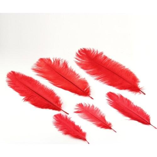 Colorful High Quality Natural Ostrich Feathers Fit XMAS Wedding Decoration