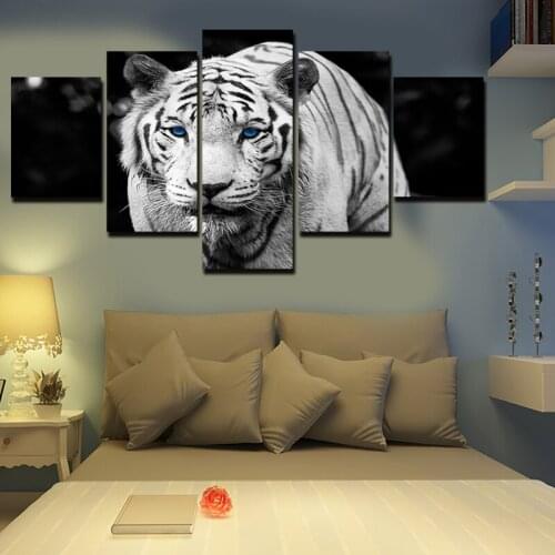 5 Panel Blue-eyed White Tiger Canvas Painting Oil Painting Print On Canvas Home Decor Art Wall Picture For Living Room Unframed