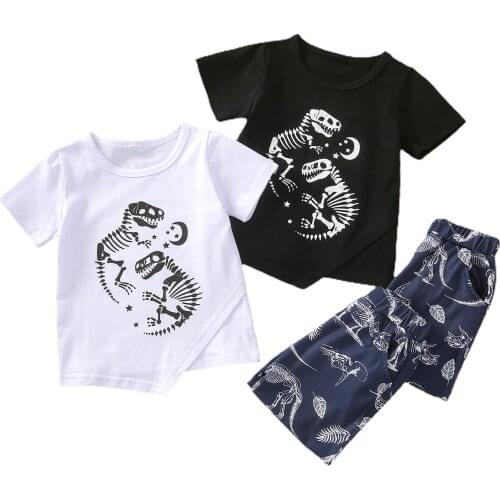 Kid Boy Shirt, Summer Pants, Short Sleeve Round Collar Dinosaur Printed Pullover Sports Loose Trousers