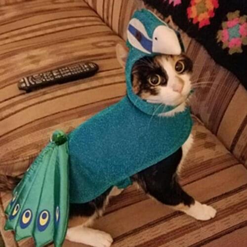 Creative Outwear Peacock Design Adjustable Cotton Pet Cosplay Costume for Halloween Party Birthday Festival Cats Clothes Decor