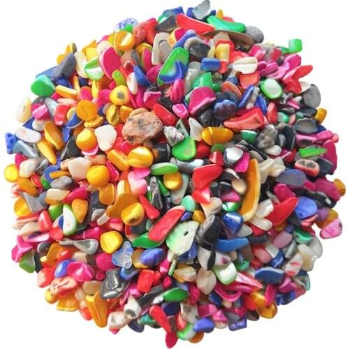 100g Mini Sea Shell Mosaic Tile Natural Irregular Tiles Mosaic Making DIY Craft Supplies Home Decor Shell Scrapbooking Accessory
