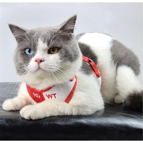 Soft Suede Dog Walking Jacket Harness and Leash Pet Puppy Clothes Soft Adjustable Vest Mini