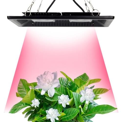COB Led Grow Light Full Spectrum 100W 200W Waterproof IP67 for Vegetable Flower Indoor Hydroponic Greenhouse Plant Lighting Lamp