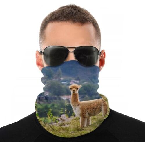 Vicuna Animal Scarf Neck Face Mask Men Women Fashion Tube Mask Balaclava Bandana Versatility Headband Outdoor Climbing
