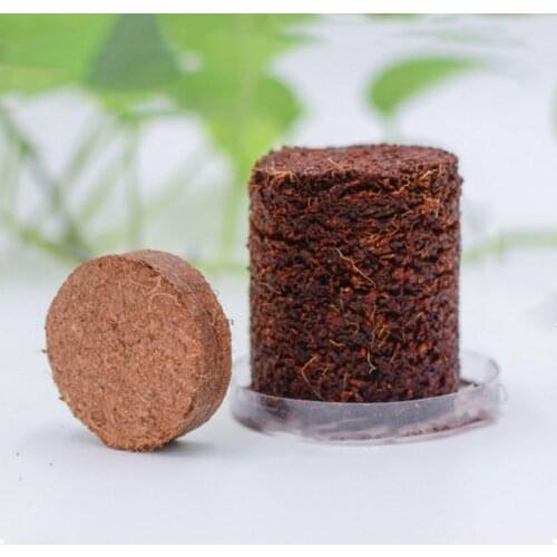 Mini Bonsai Nutritious Soil Cat Grass Meaty Potted Coconut Husk Powder Low Salt