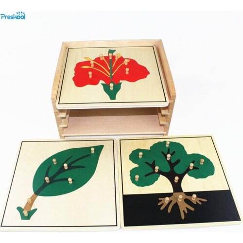 Baby Toy Montessori Botany Puzzle Cabinet with 3 Puzzles Included Learning & Education Math Stick Classic Toys Wooden Toys