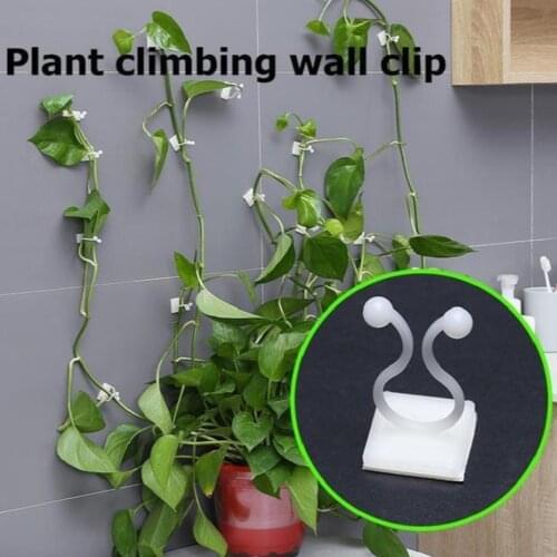 10pcs Vine Climbing Wall Hooks Home Garden Bathroom Vine Wall Rattan Clamp Clip Fixing Clip Holders Bracket Plant Stent Supports