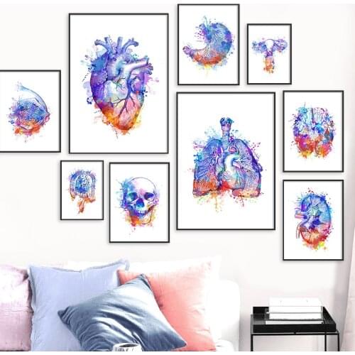 Modern Colorful Anatomy Brain Heart Kidney Breast Canvas Painting Wall Art Posters And Prints For Doctors Office Room Decor