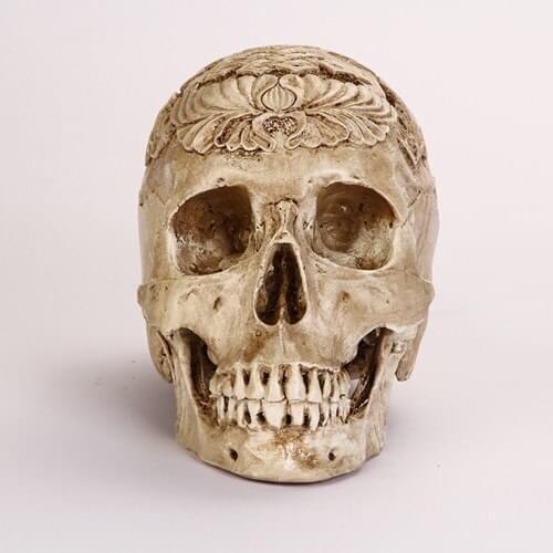 Free shipping life size Human carved resin skull model skeleton model