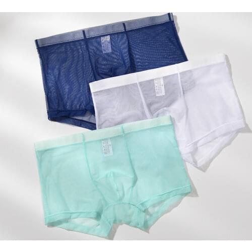Sexy Breathable Super Thin Boxer Shorts Men Mesh Transparent See Through Mid Rise Solid Youth Underwear Hombre Panties Cuecas