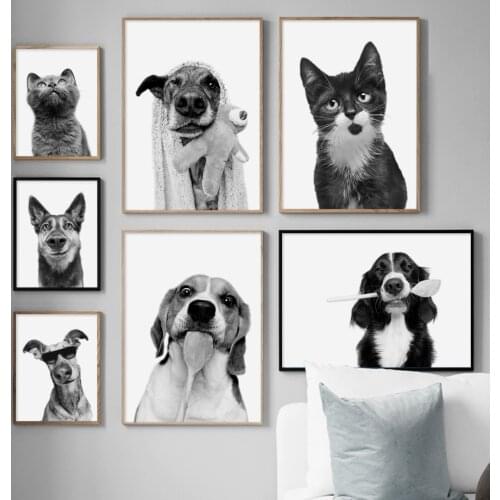 Black White Border Collie Dog Cat Photo Custom Art Canvas Painting Nordic Posters And Prints Wall Picturs For Living Room Decor