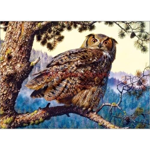 Needlework for embroidery DIY French DMC - Counted Cross Stitch Kits 14 ct Oil painting - Great Horned Owl