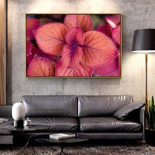 Artcozy Oil Canvas Painting plant_pink_leaves For Home Decoration Wall Art