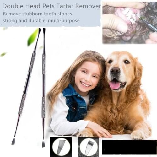 Double Head Pets Tartar Remover Dogs Cats Teeth Cleaning Tools Stainless Steel Dental Stones Scraper For Pets Tartar Teeth Care
