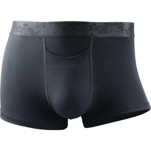Sexy Gay Underwear Men Boxers Shorts Modal Panties Solid Breathable Pouch Penis Male Underpants Ropa Interior Hombre Plus Size