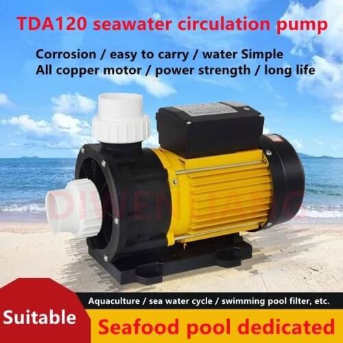 DIWENLIANG Plumbing Pumps