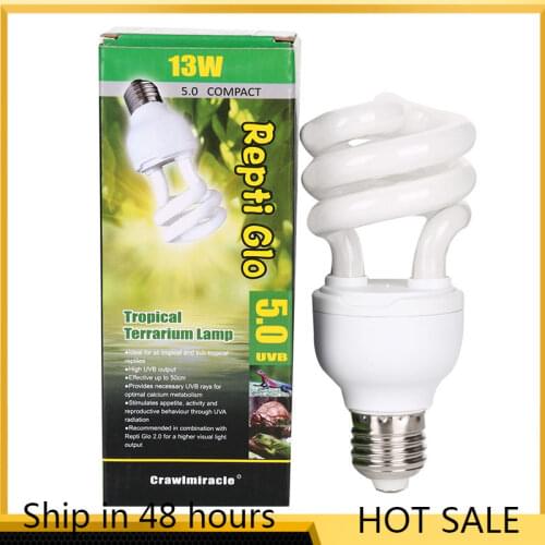 PDQ Terrarium Lamps China