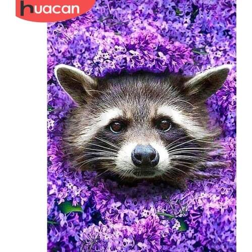 Huacan Official Store Diamond Painting 5d Raccoon Diamond Embroidery Cross Stitch Animal Mosaic Diamond Rhinestones Pictures