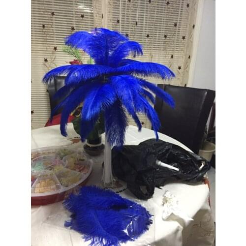 Sales of high-quality 50pcs / Many royal blue ostrich feathers 45-50cm, DIY wedding decorations / decorative home accessories