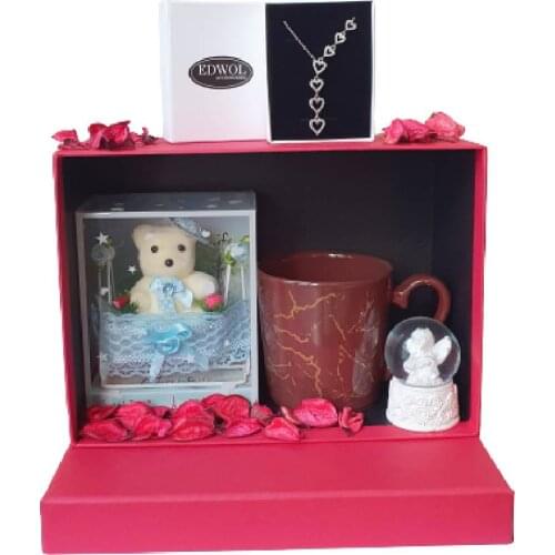 Edwol Zircon Cubic Zirconia Heart Necklace Gift Set