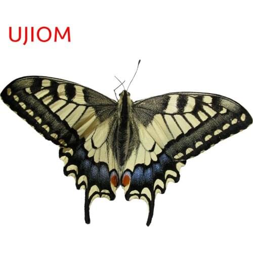UJIOM Butterfly Wall Stickers