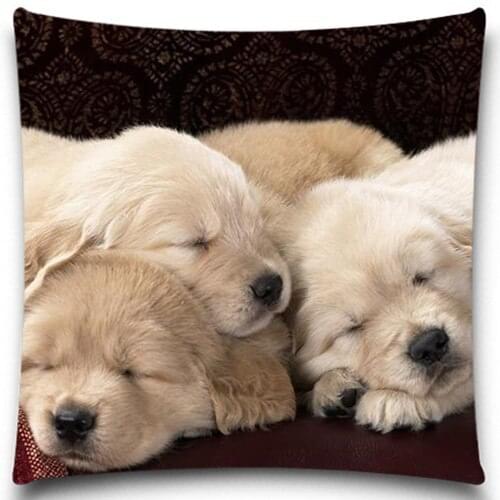 Cute dog asleep on the sofa Throw Pillows Case Cotton Polyester for Sofa Car Cotton Cushion Cover Creative Decoration