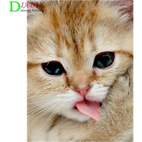 NEW Full Square Diamond Painting Cat 5D Diy Diamond Embroidery Animal Mosaic Picture Of Rhinestone Home Decoration Girl Hobby