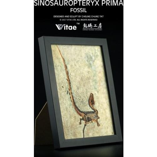 Zhenyuanlong Suni Microraptor Gui Archaeoptery Sinosauropteryx Fossil Dinosaur Model Toy Collector Home Decor Photo Frame