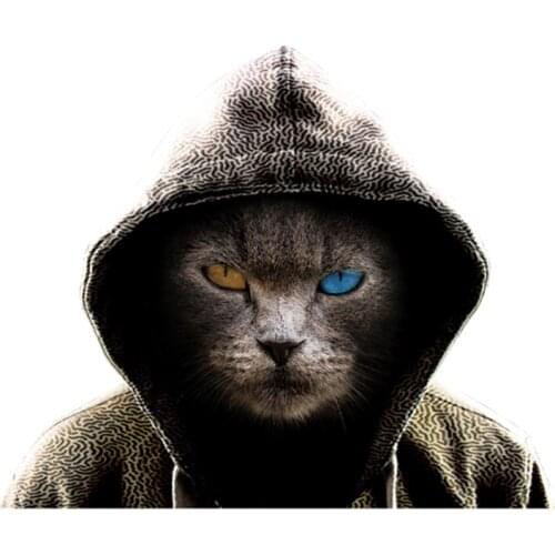 Thermo stickers on clothes Rock graffiti Cat Hero stripes application of one iron on patches applications for clothing toppe