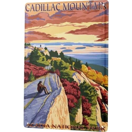 SINCE 2004 Tin Sign Metal Plate Decorative Sign Home Decor Plaques Globetrotter Cadillac Mountain