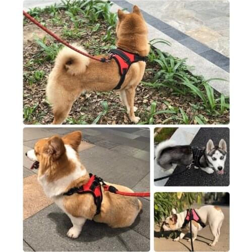 Durable Dog Solid Color 1.5M Pet Dog Leash Night Reflective Walking Training Traction Rope Dog Leash With Dog Leash