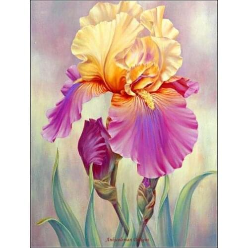 Counted Cross Stitch Kits Needlework Embroidery - Crafts 14 ct Aida DMC Color DIY Arts Handmade Home Decor - Iiris Flowers