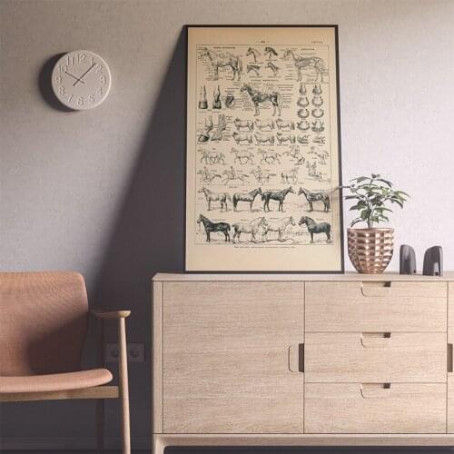 Vintage French Horse Anatomy Chart Prints Biology Wall Art Decor , Horse Illustration Animal Poster Canvas Painting Office Decor