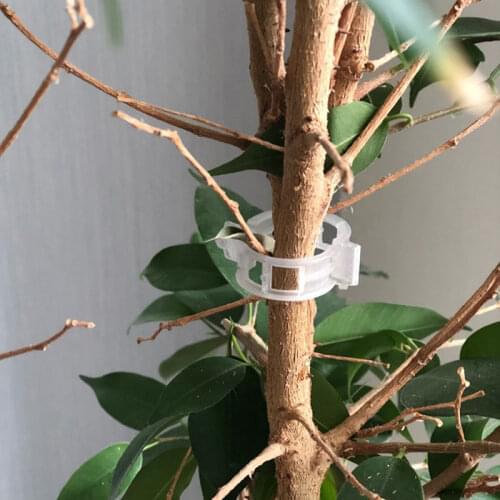 20/50/100pcs Veggie Garden Plant Support Clips For Trellis Twine Greenhouse Wholesale