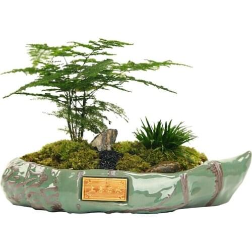 Chinese Ceramic Ice Crack Serial Bonsai Pot Cactus Plant Pot Glazed Large Flower Pot Succulent Planter Garden Home Decoration