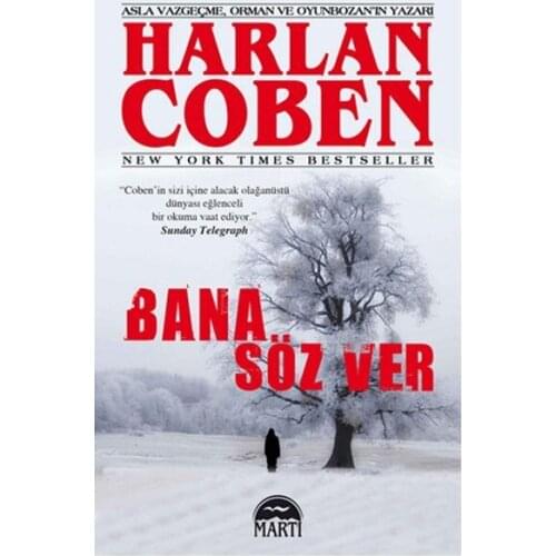 Promise me Harlan Coben Seagull Broadcasts