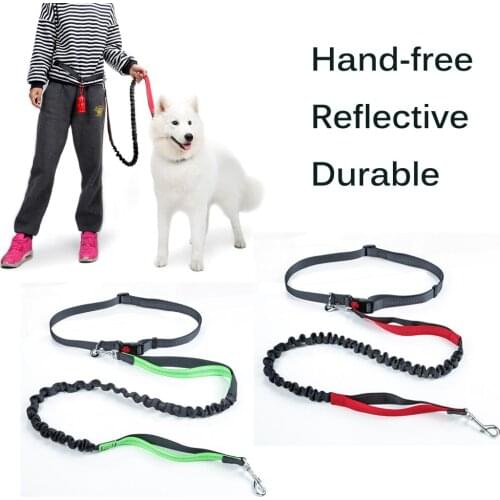 Urban Paws Leashes For Dogs