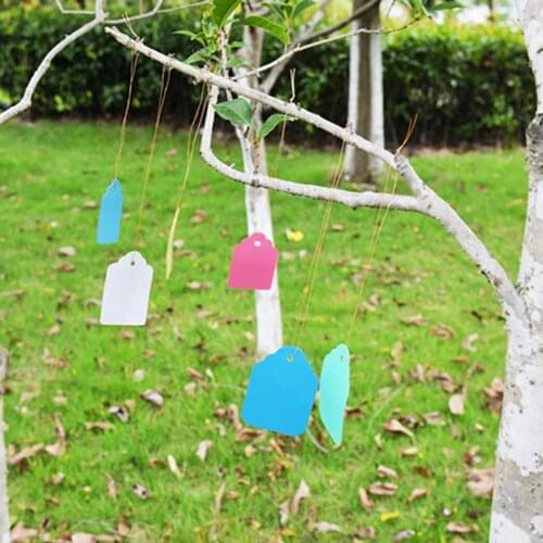 100PCS Garden Label Decorative Plant Tag Creative Hanging Labels PVC Plastic Garden Plant Marker With Rope 2.5*3.6cm