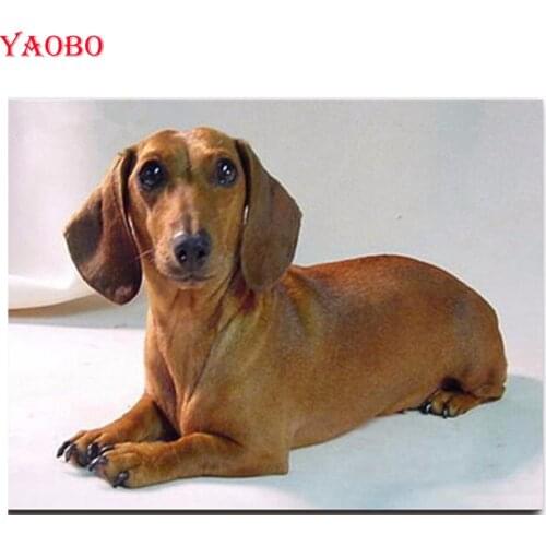 5d diamond painting rhinestones full square round drill diy diamond embroidery animal Dachshund Dog cross stitch mosaic pattern