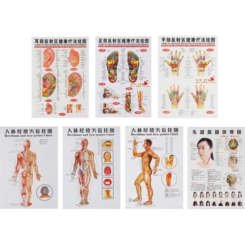 7pcs/set Acupuncture Massage Point Map Chinese&English Meridian Acupressure Points Posters Chart Wall Map For Medical Teaching