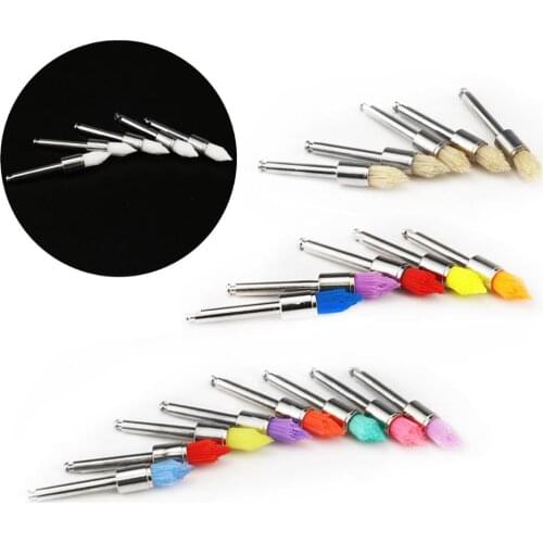 1Box Disposable Dental Polishing Polisher Brush Dental Care Polisher Nylon Screw Style Prophy Brushes Head Teeth Clean