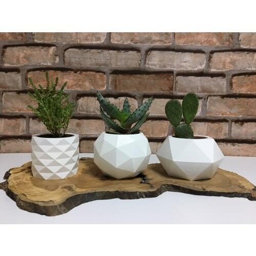 Concrete Sukulent and Cactus Flower Pot Set 3 PCs White
