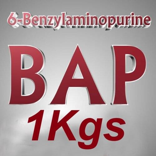 1Kgs 6-Benzylaminopurine BAP 6 Cytokinin Hormone Plant Growth PGR Gibberellic