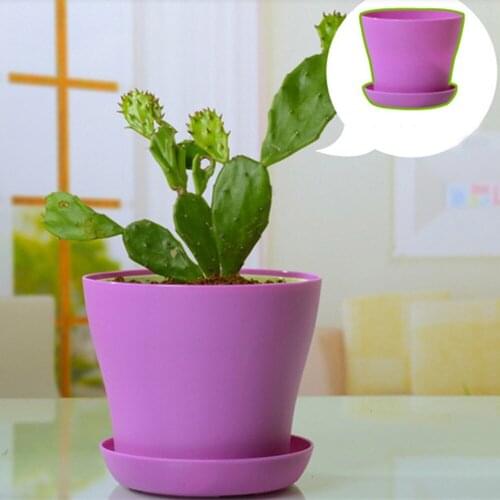 Colourful Mini Plastic Flower Pot Succulent Plant Flowerpot Home Office Decor Plastic Nursery Pots Succulents pot 2021 New Hot