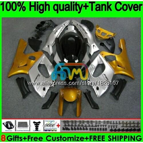 YZF600R For YAMAHA Thundercat 96 97 98 99 00 01 02 72BS.33 YZF-600R YZF 600R 1996 1997 1998 1999 2000 2001 Gold silvery Fairing