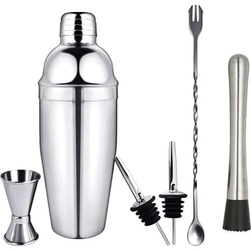 Stainless Steel Cocktail Shaker Set 6 Piece Martini Shaker, Drink Shaker, Bartender Kit With Measuring Jigger, Mixing Spoon