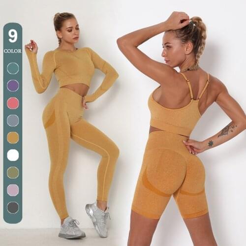 2/3PCS Seamless Women Yoga Set High Waist Leggings Gym Clothing Women Sportswear Sports Bra Fitness Crop Top Workout Gym Set