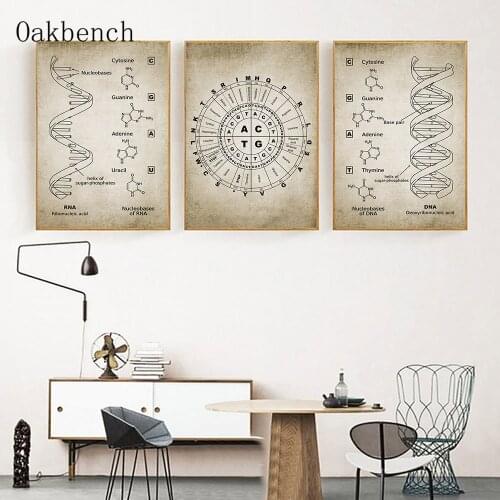 DNA And RNA Genetic Code Wall Painting Genetics Canvas Print Biochemistry Retro Science Prints Vintage Poster Wall Decoration