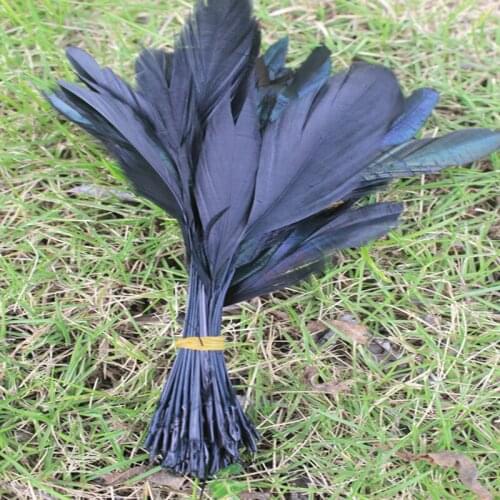 20pcs/lot pretty 5-7 inch/12-18cm black rooster feathers Clothing jewelry Headwear Christmas Holiday Decorative Feathers